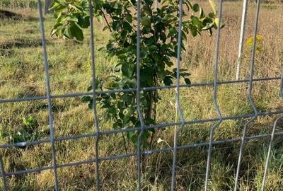 Teren Construcții intravilan de 410 mp, în Sânpetru - 3