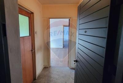 Apartament cu 2 camere semidecomandat în Bucureștii Noi - 2