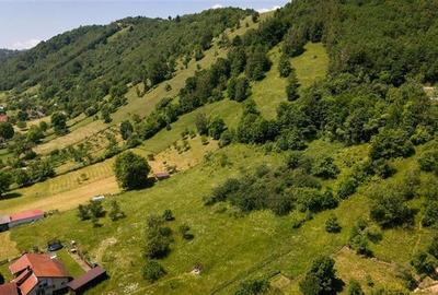 Teren de 1.450 mp, cu priveliste de carte postala, Bran, Moieciu, Brasov - 7