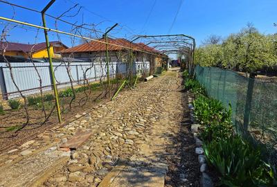 Casă individuală cu 4 camere cu Garaj în Zalhanaua - 50