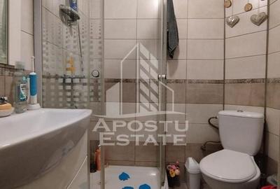 Apartament cu 3 camere semidecomandat, mobilat în Șagului - 8