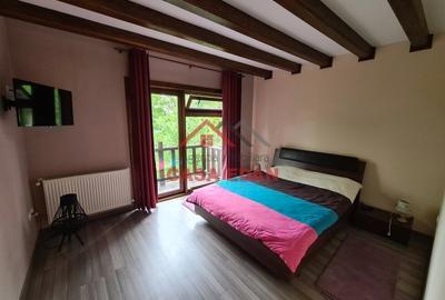 ●Casa in Pietriceaua, 4 camere, 4 bai, teren 1000mp,an 2012, 180.000e● - 10