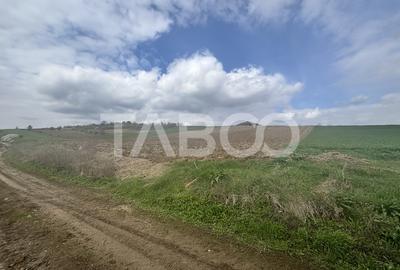 Teren intravilan de vanzare 4600mp deschidere 37m in Sura Mare Sibiu - 2