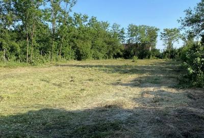 Teren de 1698 mp, în Gherghița - 4