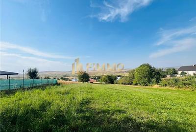 Teren Intravilan | 5400mp | Sf. Ilie | ID:801 - 1