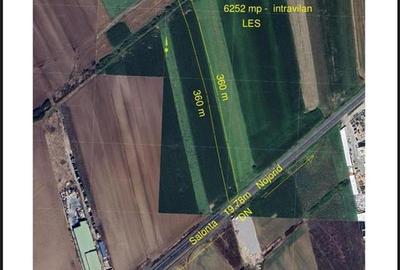 Teren Construcții intravilan de 6252 mp, în Leș