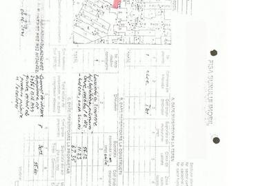 Apartament cu 3 camere decomandat în Parcul Carol - 19