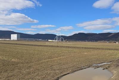 Spațiu comercial, în Albești - 1