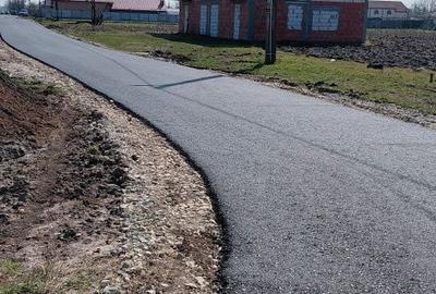 Casă cu 4 camere în Deveselu