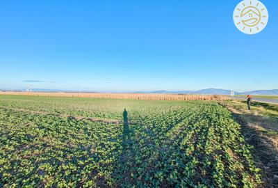 Teren intravilan 22800mp la 2km de Parcul Industrial Prejmer - 4