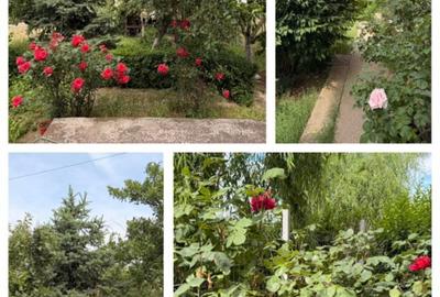 Casă cu 4 camere în Central - 7