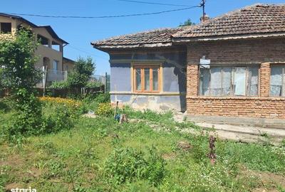 Casă cu 3 camere cu Teren 2000 Mp în Hotarele - 4
