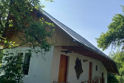 Casă cu 3 camere în Chiojdeni - 8