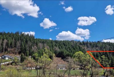 Teren de 3900 mp, în Vale - 2