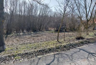 Spațiu comercial, în Făurei - 4