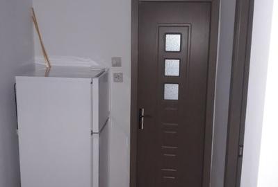 Lacul Tei, aproape Parcul Circului - 14