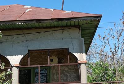 Casă cu 4 camere cu Teren 4200 Mp în Izvoru (Gogoșari) - 4