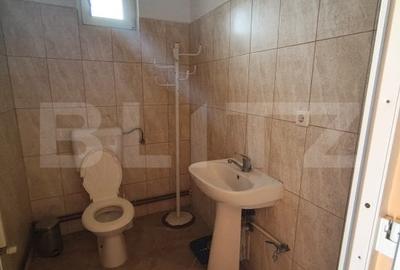 Casa de vanzare in Biharia - 10