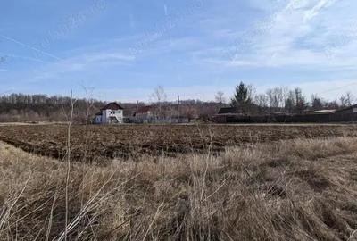 Teren în Broșteni (Costești) - 1