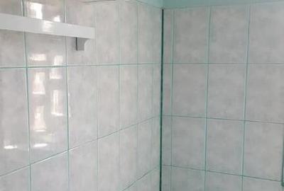Apartament cu 2 camere decomandat în Iosefin - 5
