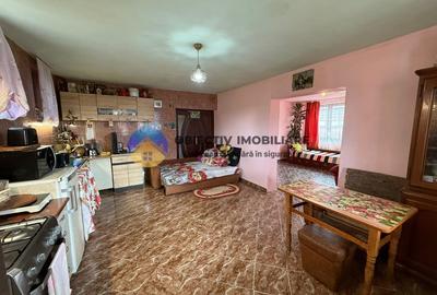 Casă individuală cu 5 camere cu Canalizare în Săvinești - 17