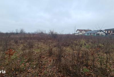 Spațiu comercial, în Corbeanca - 6