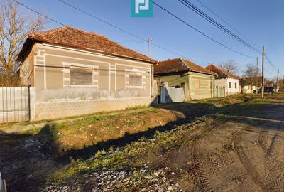 Casă cu 4 camere cu Teren 1439 Mp în Tauț - 2