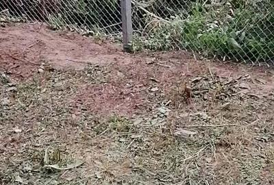 Casă cu 4 camere în Budănești - 10