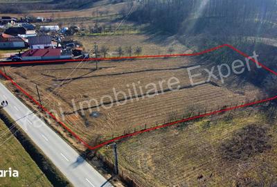 Teren de 5600 mp, în Băiculești - 5