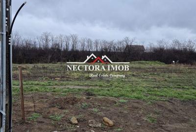 Teren de 501 mp, în Nojorid - 6