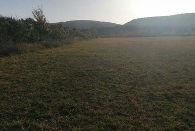 Teren de 3200 mp, în Bănești - 8