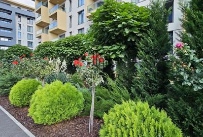 Apartament cu 2 camere decomandat, mobilat în Aviației - 16