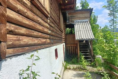 Cabana de vanzare in Lunca Bradului - 10