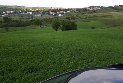 Teren de 4039 mp, în Borhanci - 2