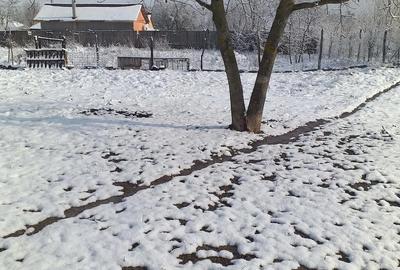 Casă în Sărulești - 1