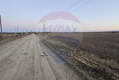 Teren de 1785 mp, în Filipești