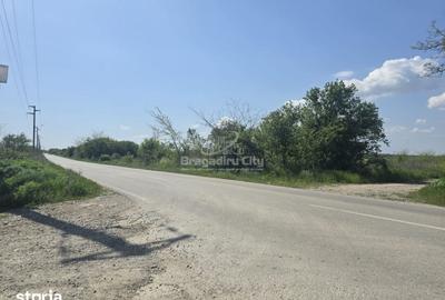 Teren de 526 mp, în Domnești