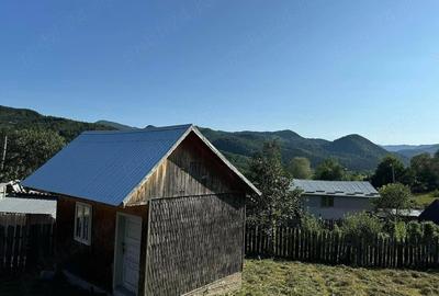 Casă cu Teren 1642 Mp în Greșu - 7