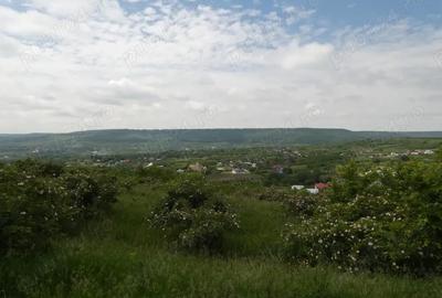 Casă cu 6 camere cu Teren 23000 Mp în Horodiștea - 7