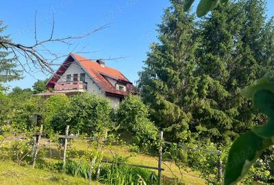 Casa de vanzare, in Dobrogostea, la 5 km de Pitesti - 3