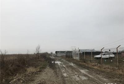 Teren de 10000 mp, în Butimanu - 2