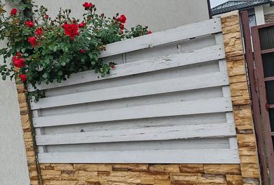 Apartament cu 3 camere în Chiajna