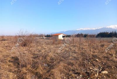 Teren intravilan 3000 mp de pe Valea Avrigului drum asfalta - 1