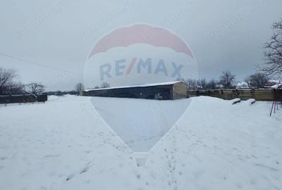 Casă cu 5 camere cu Teren 7531 Mp în Sacu - 4