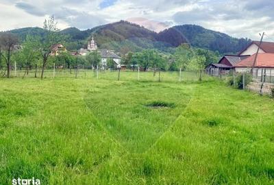 Casă cu 2 camere cu Teren 1304 Mp în Rozavlea - 8