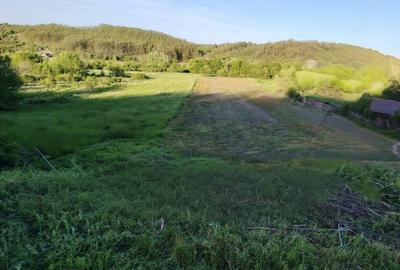 Teren Construcții intravilan de 7000 mp, în Seculești - 5