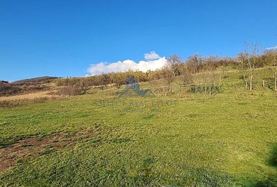 Teren Construcții intravilan de 2500 mp, în Șura Mare - 7