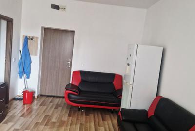 Garsonieră semidecomandată în Bariera Vâlcii - 4