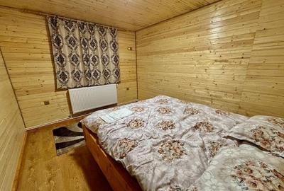 Cabana Valea Ierii, 4 dormitoare, 2 bai, ciubar, 110mp utili, 800 mp de teren - 6