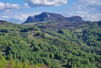 Teren de 30209 mp, în Groșuri - 7